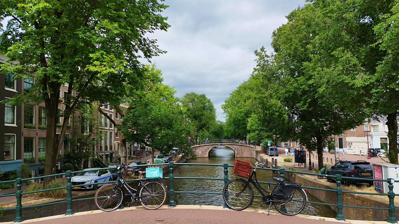 Bicicletas en un puente sobre un canal de Ámsterdam, entre árboles