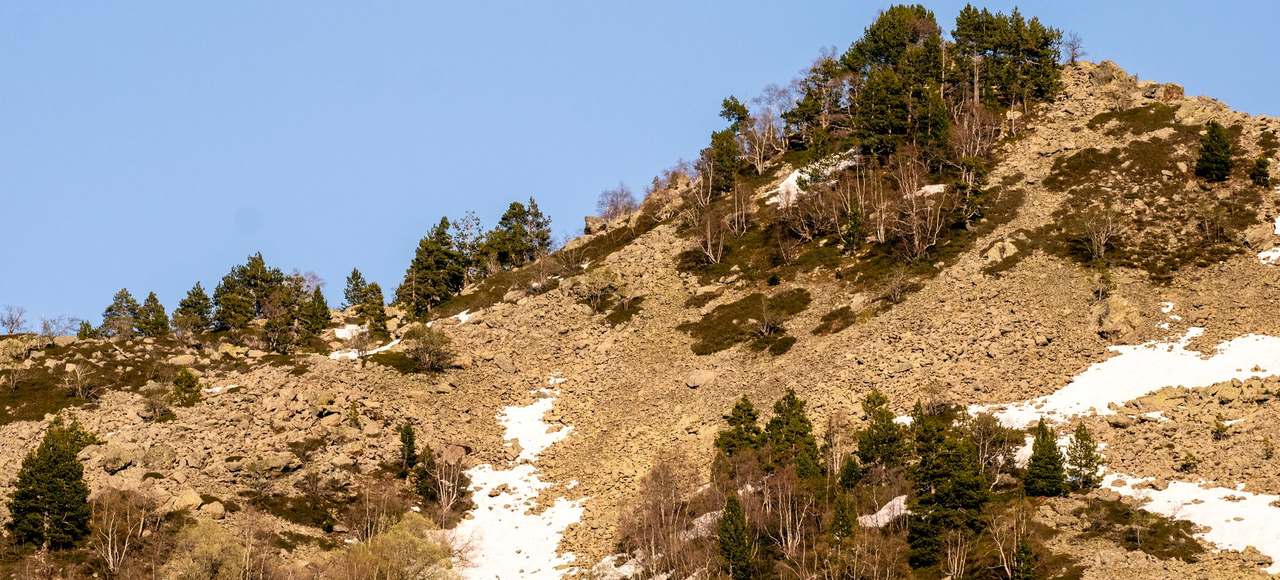 Snow-dusted mountainside with sparse trees under a clear sky in Andorra la Vella