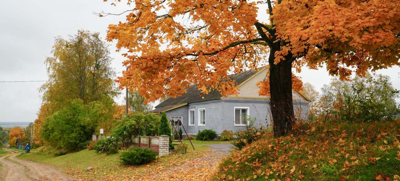 Idyllic rural house with golden autumn foliage in Grodno Region, Belarus