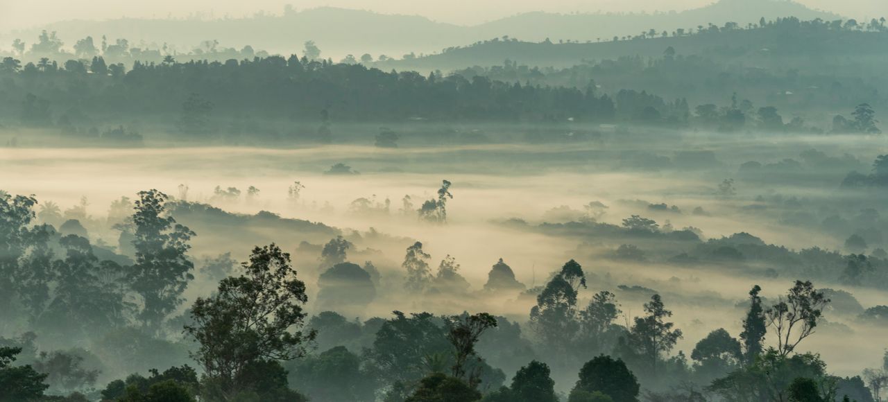 Cameroon