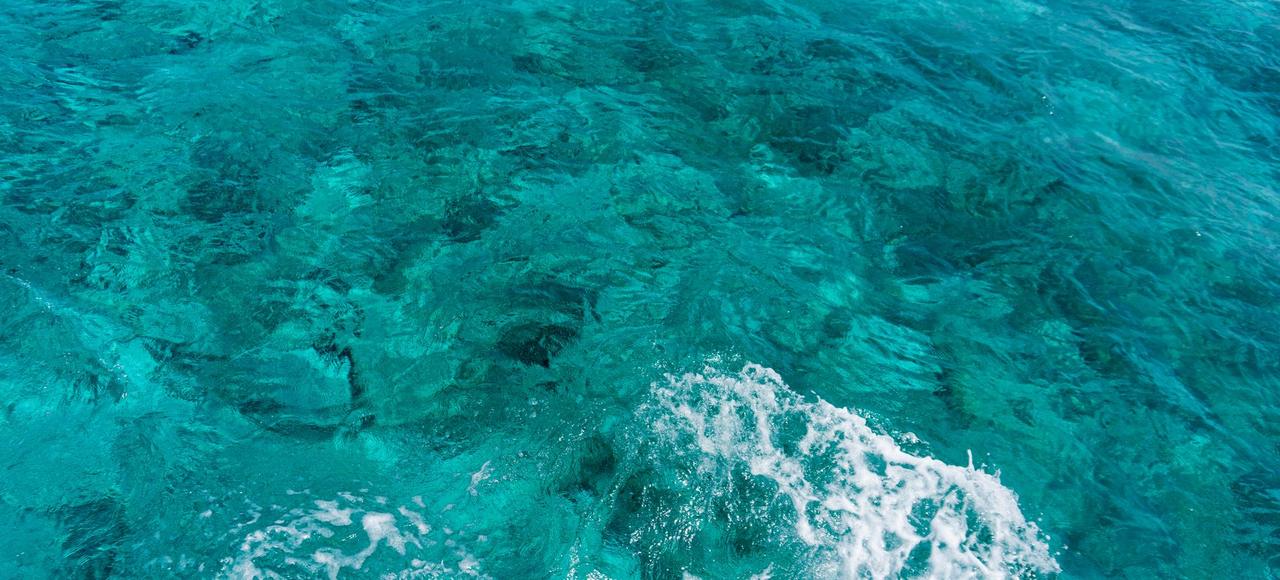 Cayman Islands: A captivating view of clear turquoise ocean waves crashing over a vibrant coral reef