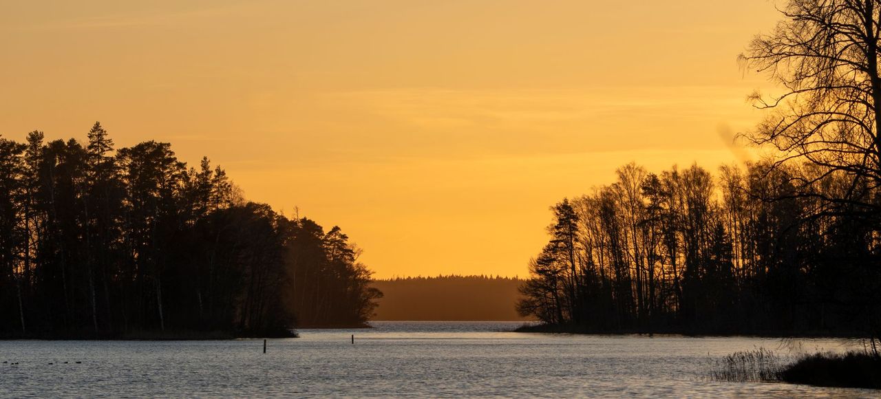 Finland: Peaceful lake landscape with trees silhouetted against a warm sunset sky