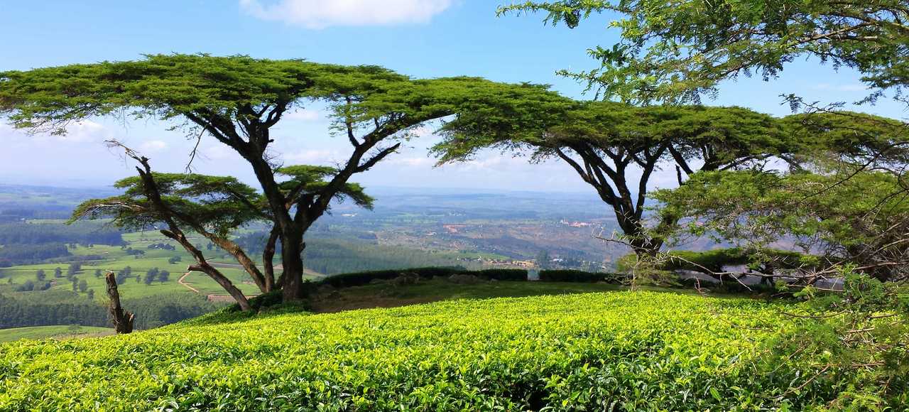 Malawi