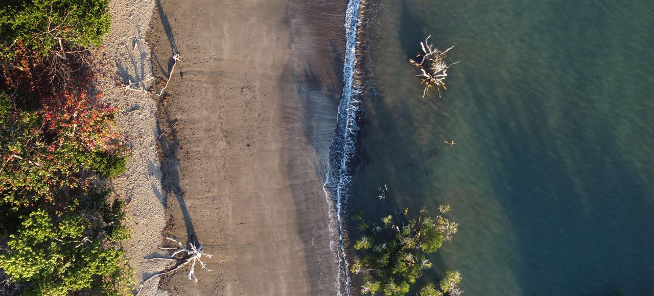 Stunning drone shot of Mayotte's coastline showcasing beach and lush vegetation