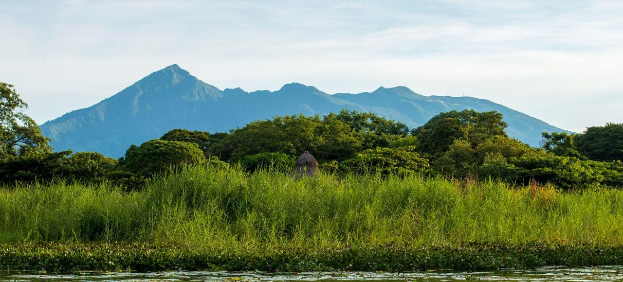 Lush greenery and tranquil waters with Mombacho Volcano in the background in Granada, Nicaragua