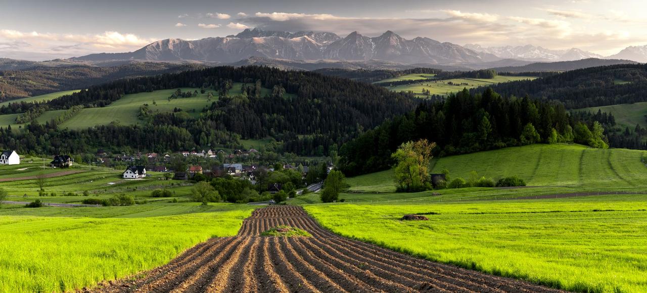 Poland: Lush green fields with plowed rows and distant mountains under a clear sky