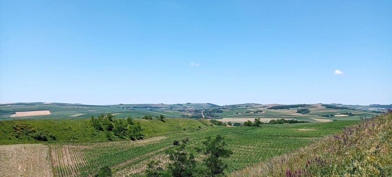 Romania: Vibrant rolling hills and farmland captured in Mădăraș, Mureş during summer