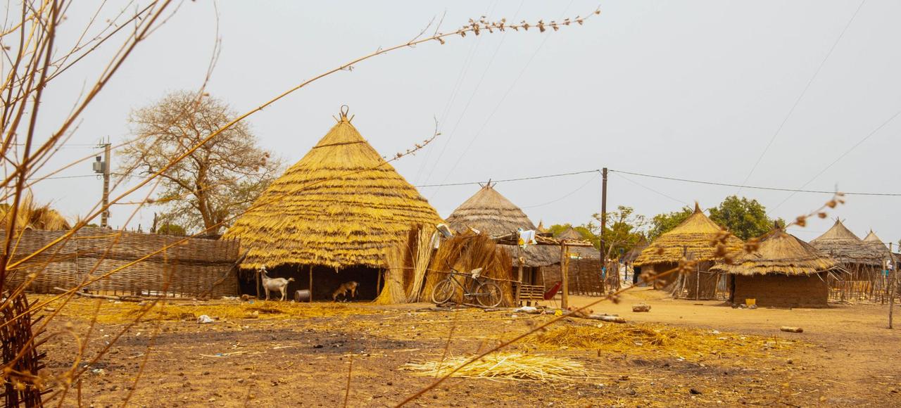 Explore traditional nipa huts in a rural Senegal village, showcasing a serene countryside setting