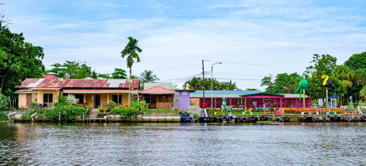 Suriname: Vibrant riverside houses surrounded by palm trees and greenery under a blue sky