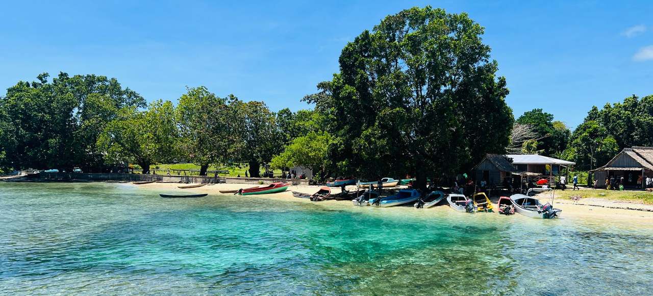 Vanuatu: A picturesque tropical beach featuring boats, clear water, and lush trees under a bright blue sky
