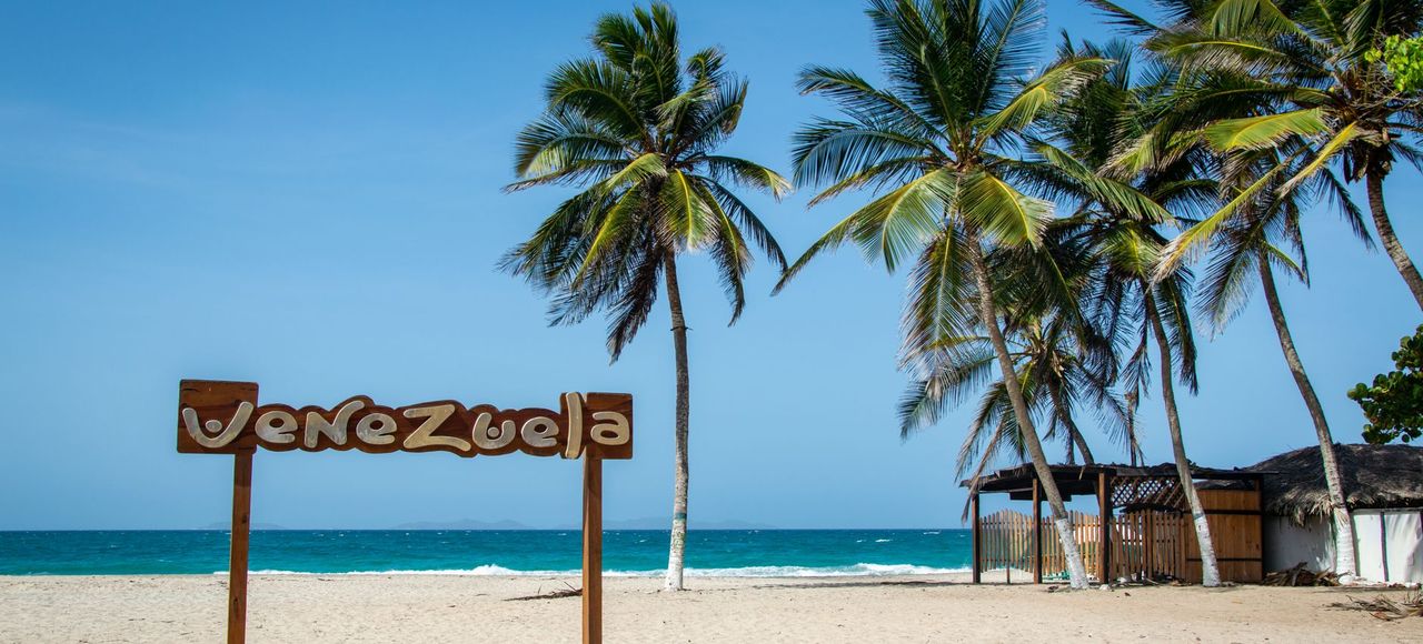 Breathtaking tropical beach in Venezuela featuring palm trees, a clear blue sky, and a sandy shore